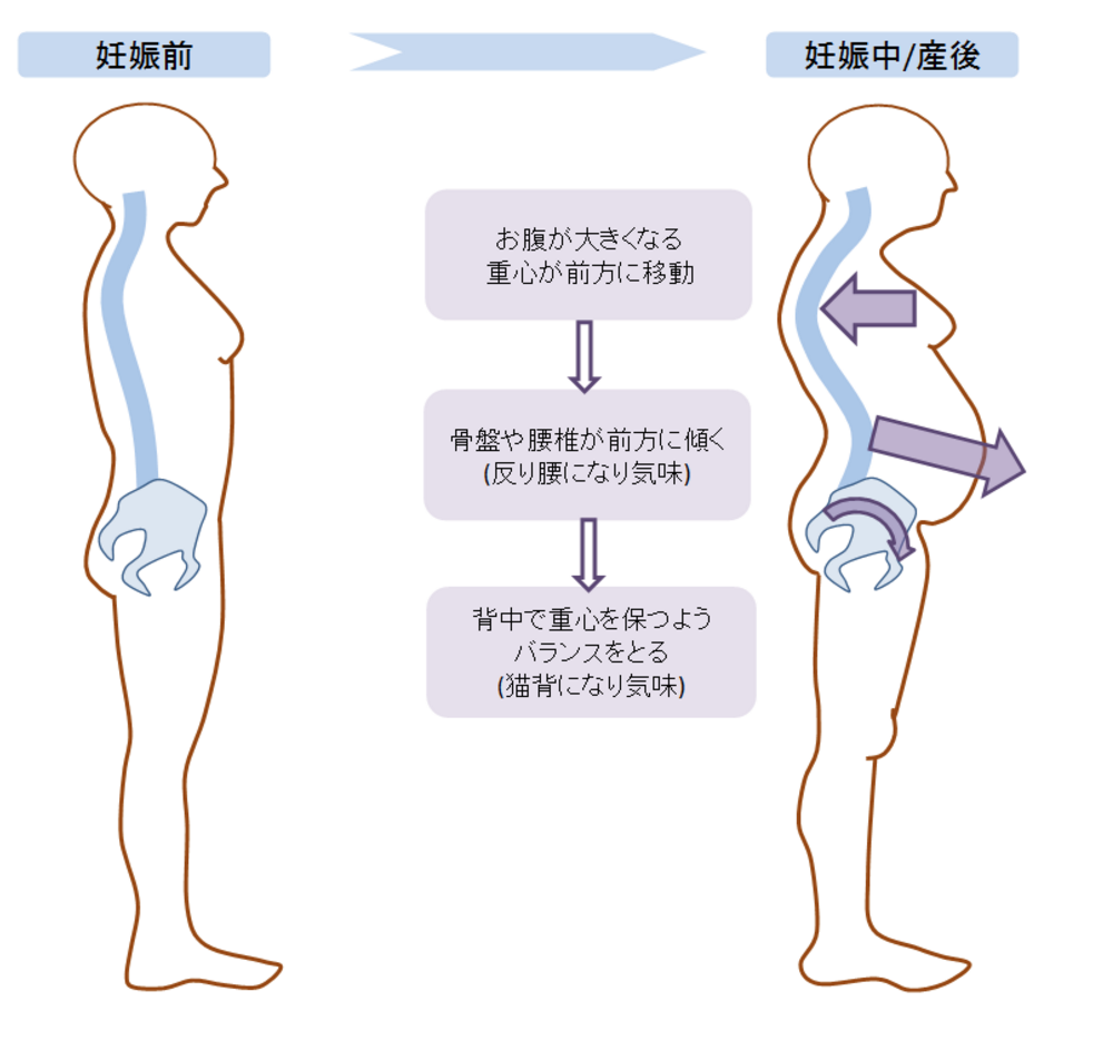 背中のコリをマッサージでほぐせば身体が軽くなる ゆるりら治療院